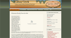 Desktop Screenshot of calusacreek.com