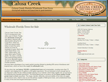 Tablet Screenshot of calusacreek.com